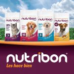 nutribon